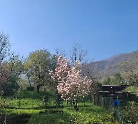 Charming Alpine Retreat In Villa Sant'Omobono Imagna